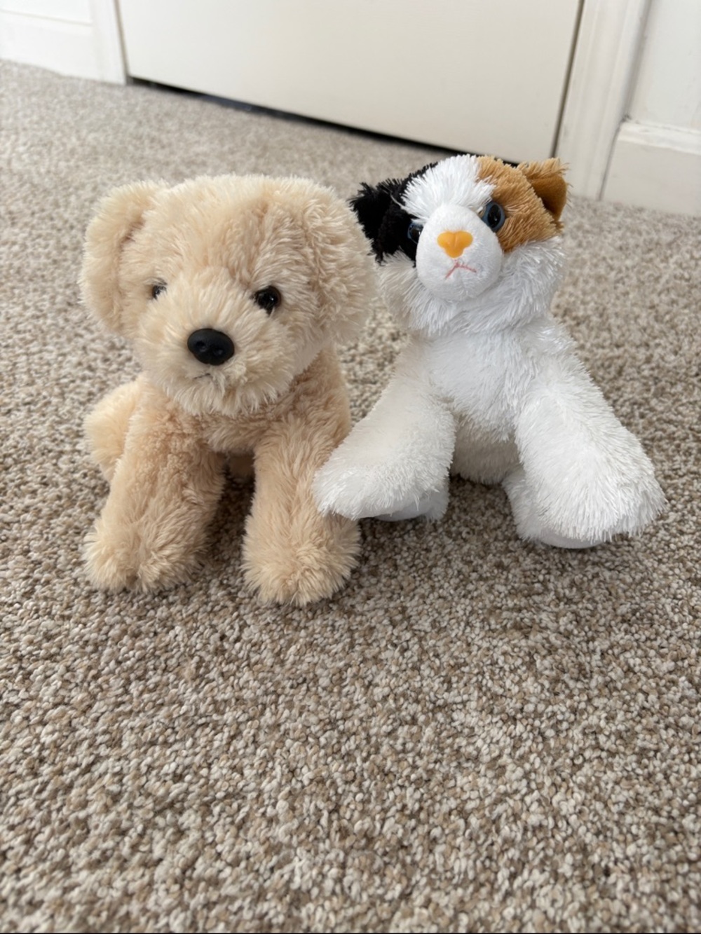 Plush Puppy and Calico Cat Stuffed Animals - Cream and White
